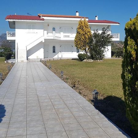 Silver Villa Raches Maisonette & Green Kouvéla 외부 사진